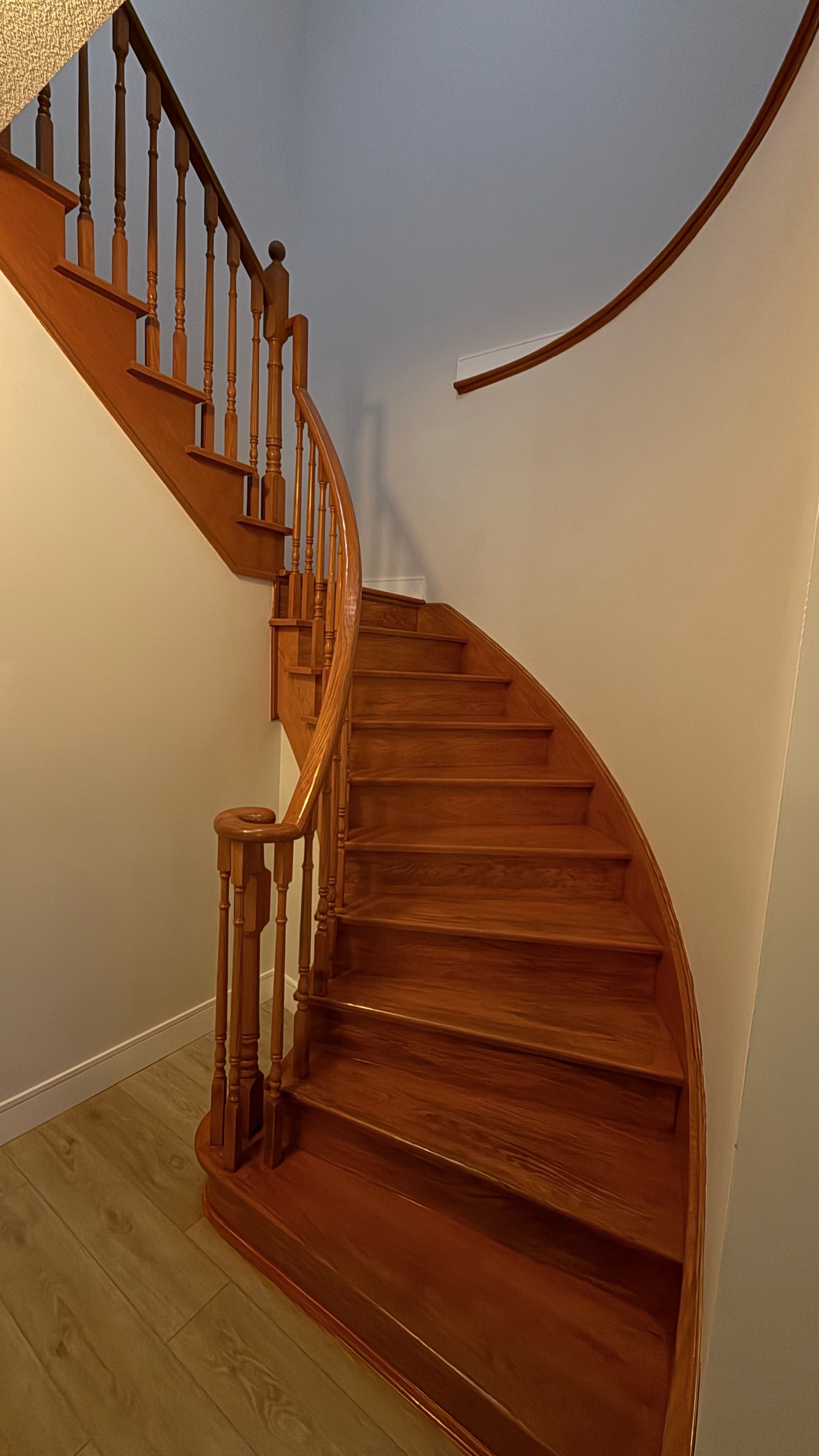 Recent Project